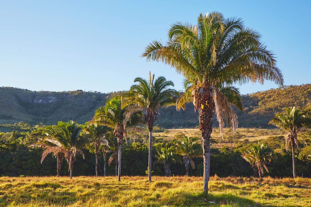 Eit Eco Inteligente Βίλα Alto Paraíso de Goiás Εξωτερικό φωτογραφία