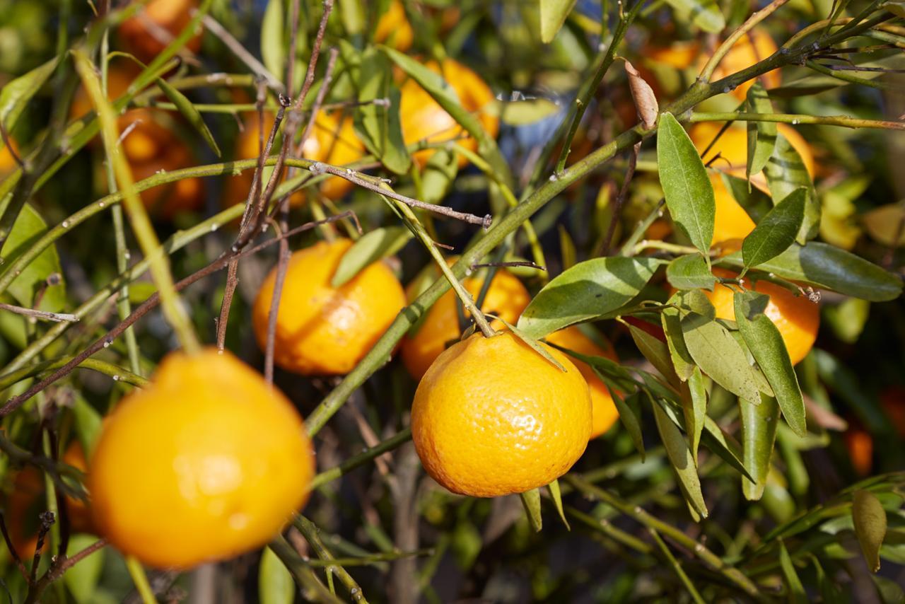 Eit Eco Inteligente Βίλα Alto Paraíso de Goiás Εξωτερικό φωτογραφία